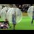 “Futebolha”