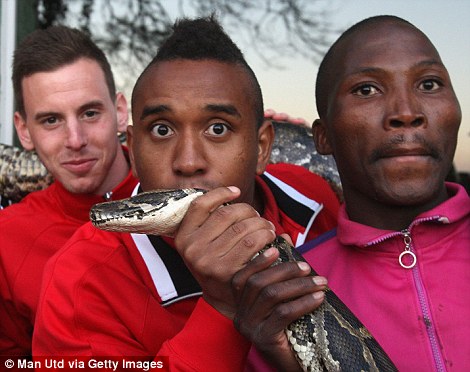 Jogadores do Man Utd “abraçam” jibóia