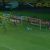 Inacreditável Futebol Clube!