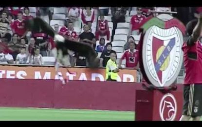 Vídeo: A defesa do guarda-redes do Trofense contra o Benfica que já está a correr do Mundo