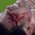 Pepe sofre golpe assustador no sobrolho