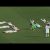 Equipa comemora golo relembrando o tsunami do Japão