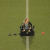 Toda a verdade sobre o casal que se envolveu no campo do Charlton