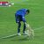 Cão invade campo durante encontro da Libertadores