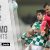 Highlights | Resumo: Moreirense 2-2 Gil Vicente (Liga 21/22 #12)