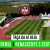 🔴 AF BEJA – TAÇA DISTRITO DE BEJA: CASTRENSE – RENASCENTE DE SÃO TEUTÓNIO