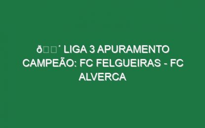🔴 LIGA 3 APURAMENTO CAMPEÃO: FC FELGUEIRAS – FC ALVERCA