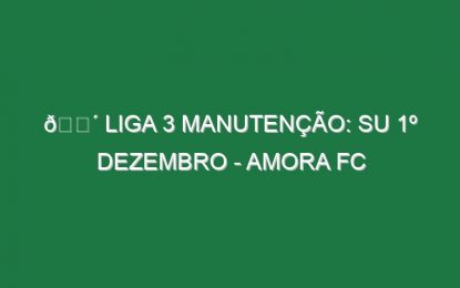 🔴 LIGA 3 MANUTENÇÃO: SU 1º DEZEMBRO – AMORA FC