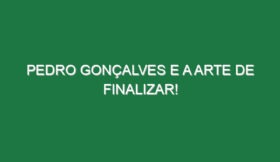 PEDRO GONÇALVES e a ARTE DE FINALIZAR!