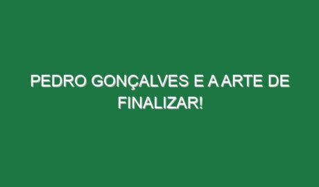 PEDRO GONÇALVES e a ARTE DE FINALIZAR!