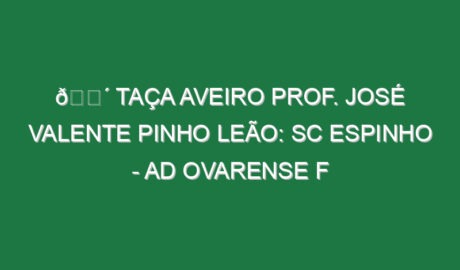 🔴 TAÇA AVEIRO PROF. JOSÉ VALENTE PINHO LEÃO: SC ESPINHO – AD OVARENSE F
