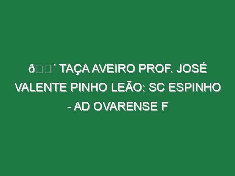 🔴 TAÇA AVEIRO PROF. JOSÉ VALENTE PINHO LEÃO: SC ESPINHO – AD OVARENSE F