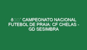 🔴 CAMPEONATO NACIONAL FUTEBOL DE PRAIA: CF CHELAS – GD SESIMBRA